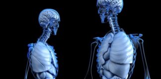 Anemi İle Mücadelede Beslenme Nasıl Olmalı? Anemi İle Mücadelede Beslenme Nasıl Olmalı?