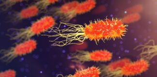 Baş Ağrısını Geçirmenin Doğal Yöntemleri Nelerdir? Baş Ağrısını Geçirmenin Doğal Yöntemleri Nelerdir?