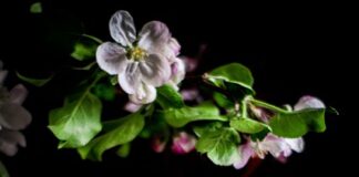 Bazı İnsanlar Neden Daha Hızlı Kilo Verir? Bazı İnsanlar Neden Daha Hızlı Kilo Verir?