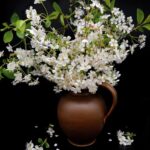 Cilt Tipinize Göre Doğru Nemlendirici Nasıl Seçilir? Cilt Tipinize Göre Doğru Nemlendirici Nasıl Seçilir?