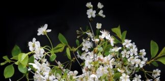 Cilt Tipinize Göre Doğru Nemlendirici Nasıl Seçilir? Cilt Tipinize Göre Doğru Nemlendirici Nasıl Seçilir?