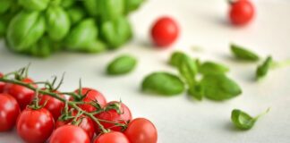 Egzersizin Diyetteki Rolü Nedir? Egzersizin Diyetteki Rolü Nedir?