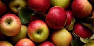 Günün Son Öğününü Ne Zaman Yemeliyiz? Günün Son Öğününü Ne Zaman Yemeliyiz?