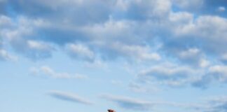 Kepekle Savaşmanın Doğal Yolları Nelerdir? Kepekle Savaşmanın Doğal Yolları Nelerdir?