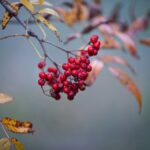 Kış Hastalıklarından Korunmanın Yolları Nelerdir? Kış Hastalıklarından Korunmanın Yolları Nelerdir?