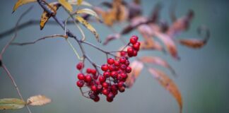 Kış Hastalıklarından Korunmanın Yolları Nelerdir? Kış Hastalıklarından Korunmanın Yolları Nelerdir?