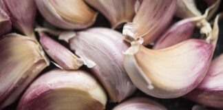 Protein Kilo Vermede Neden Bu Kadar Önemli? Protein Kilo Vermede Neden Bu Kadar Önemli?