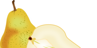 Uyku Diyet Başarısını Nasıl Etkiler? Uyku Diyet Başarısını Nasıl Etkiler?