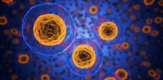 Varis Oluşumunu Engellemek İçin Öneriler Nelerdir? Varis Oluşumunu Engellemek İçin Öneriler Nelerdir?