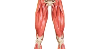 Bacak Kaslarını Güçlendiren Egzersizler ve Bilmeniz Gereken Her Şey