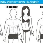 Vücut Tipleri Nedir? Ektomorf, Endomorf, Mezomorf Tipler İçin Öneriler