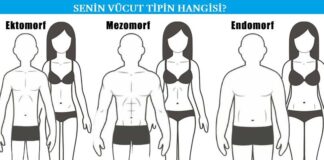 Vücut Tipleri Nedir? Ektomorf, Endomorf, Mezomorf Tipler İçin Öneriler