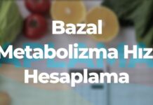 Bazal Metabolizma Hesaplama (BMR)