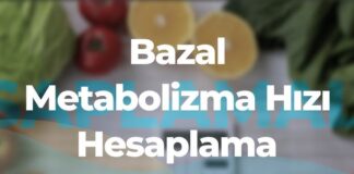 Bazal Metabolizma Hesaplama (BMR)