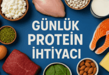 Günlük Protein İhtiyacı Hesaplama