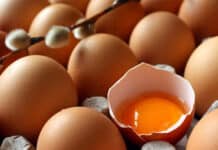 Yumurta Spordan Önce mi Sonra mı Tüketilmeli Yumurtanın Besin Değerleri
