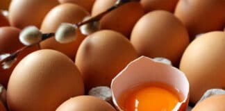 Yumurta Spordan Önce mi Sonra mı Tüketilmeli Yumurtanın Besin Değerleri