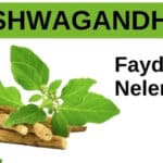 Ashwagandha Nedir, Ne İşe Yarar, Nasıl Kullanılır?