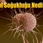 Bel Soğukluğu Nedir?